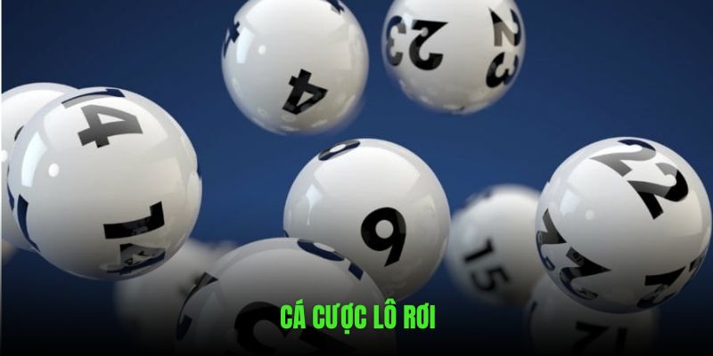 cá cược lô rơi