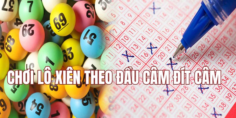 Sử dụng đầu câm đít câm đánh lô xiên
