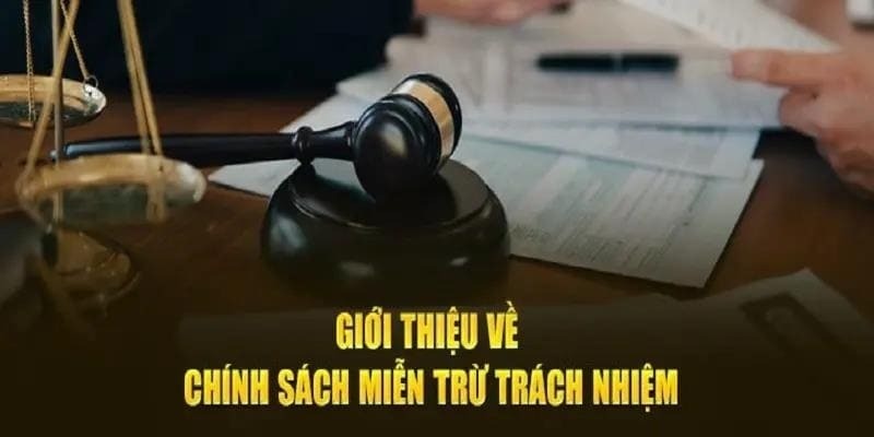 Giới thiệu thông tin và tầm quan trọng của miễn trách nhiệm